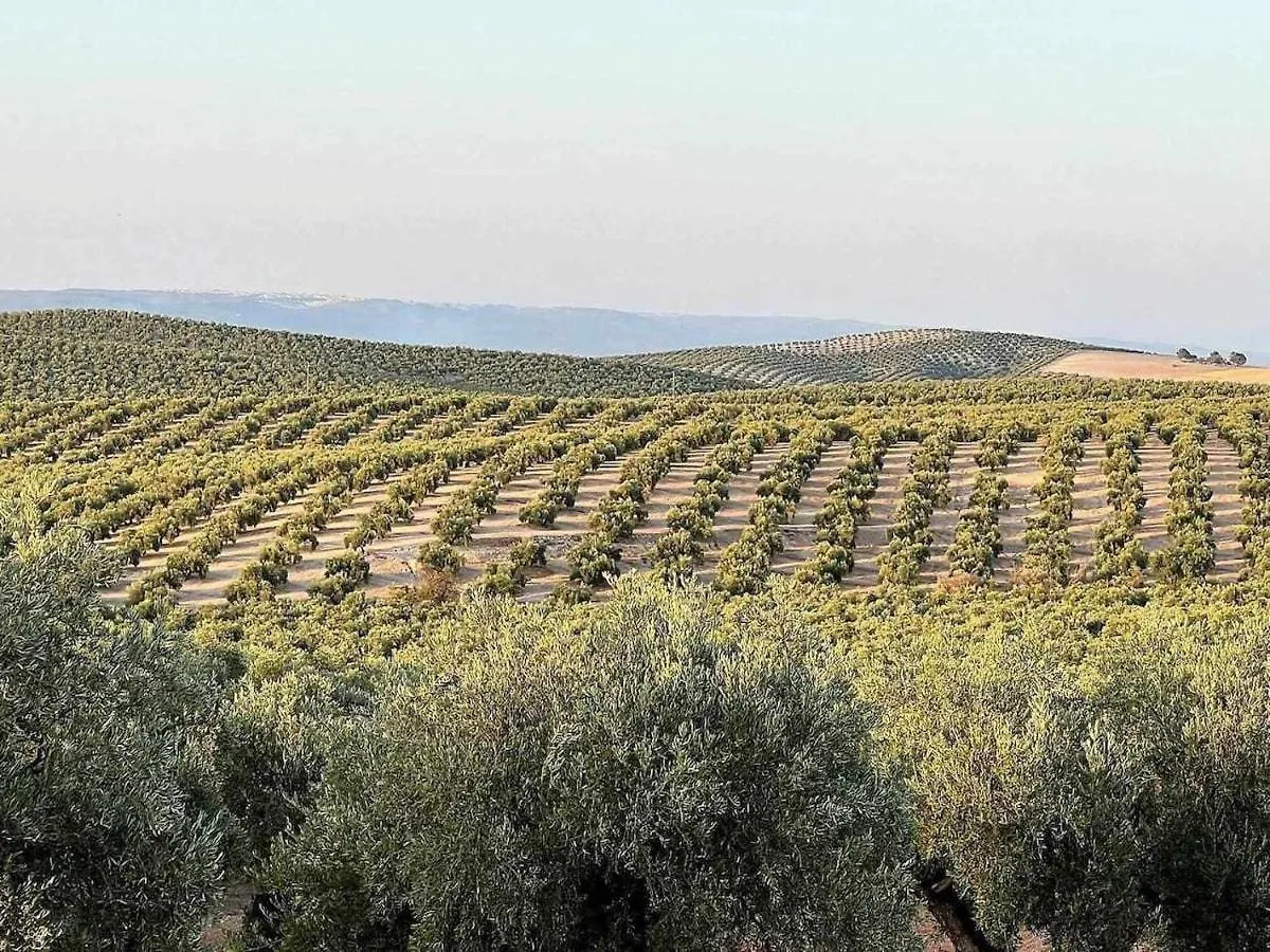 Σπίτι διακοπών Villa Arroyovil 25 Y 29 Mancha Real Ισπανία