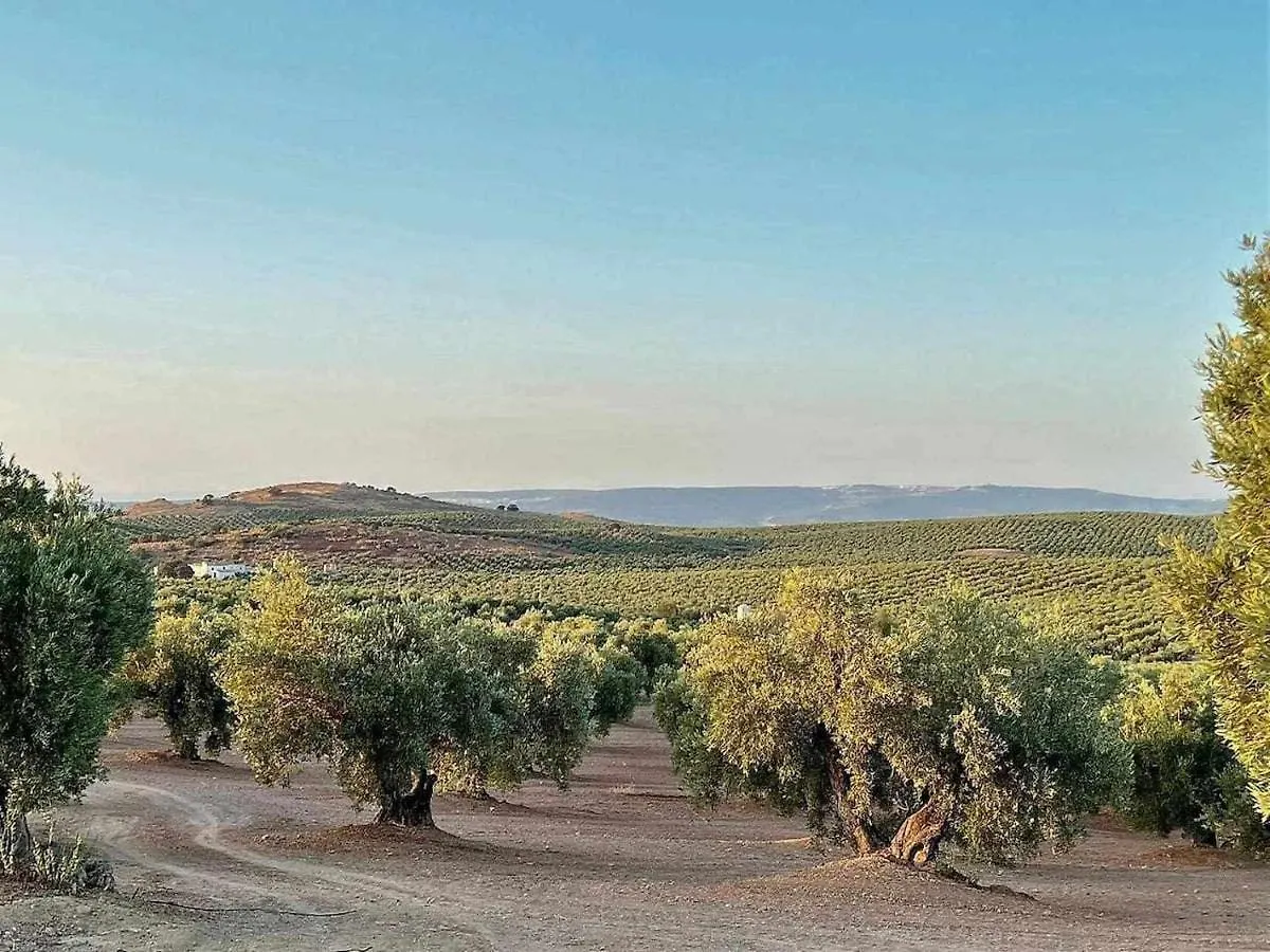 Villa Arroyovil 25 Y 29 Mancha Real